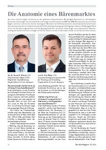 Anatomie eines Bärenmarktes